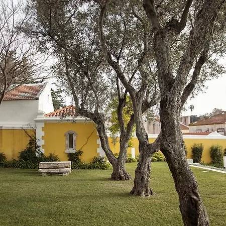 Charming Historic Lx Garden&Garage